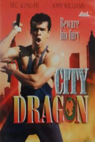 City Dragon 1995 on netflix