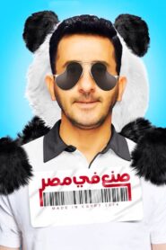 Made in Egypt 2014 on netflix