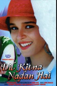 Dil Kitna Nadan Hai 1996 on netflix