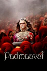 Padmaavat 2018 on netflix