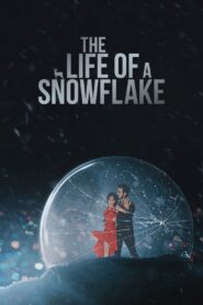 The Life of a Snowflake 2022 on netflix