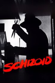 Schizoid 1980 on netflix