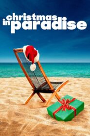 Christmas in Paradise 2007 on netflix
