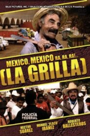 La grilla 1980 on netflix