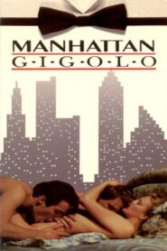 Manhattan Gigolo 1986 on netflix