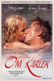 A Film About Love 1987 on netflix