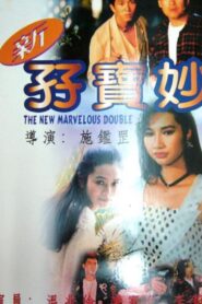 The New Marvelous Double 1992 on netflix