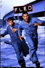 Fled 1996 on netflix