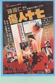 伤人十七 1981 on netflix