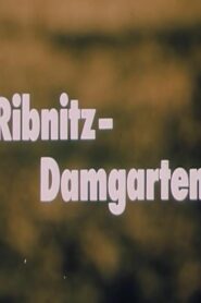 Ribnitz-Damgarten 1989 on netflix