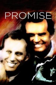Promise 1986 on netflix