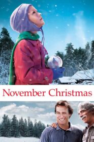 November Christmas 2011 on netflix