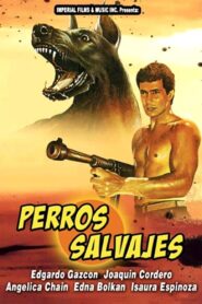 Wild Dogs 1984 on netflix