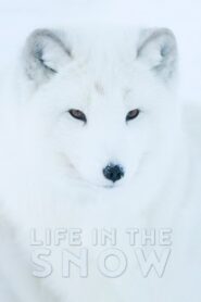 Life In The Snow 2016 on netflix