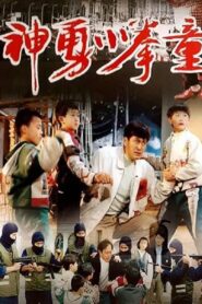 神勇小拳童 1995 on netflix