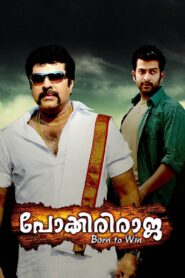 Pokkiri Raja 2010 on netflix