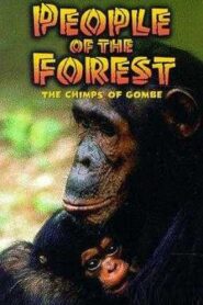 People of the Forest: The Chimps of Gombe 1988 on netflix