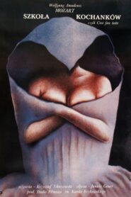 The School of Lovers 1988 on netflix