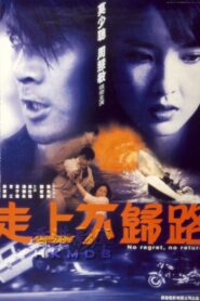 No Regret, No Return 1993 on netflix