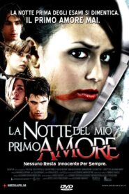 La notte del mio primo amore 2006 on netflix