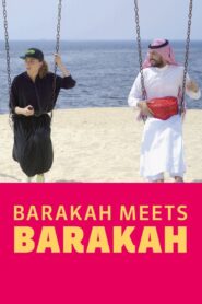 Barakah Meets Barakah 2016 on netflix
