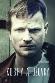 The Snake Brothers 2015 on netflix