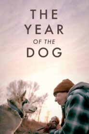 The Year of the Dog 2022 on netflix