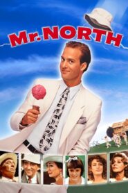 Mr. North 1988 on netflix