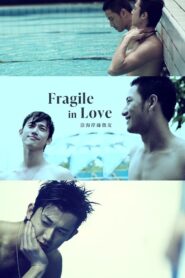Fragile in Love 2007 on netflix
