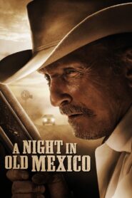 A Night in Old Mexico 2013 on netflix