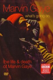 What’s Going On: The Life and Death of Marvin Gaye 2008 on netflix