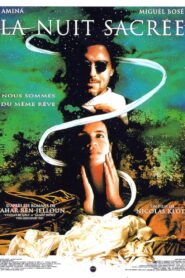 La nuit sacrée 1993 on netflix