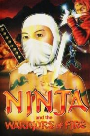 Ninja and the Warriors of Fire 1987 on netflix