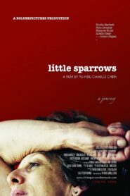 Little Sparrows 2010 on netflix