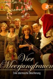 Eine stürmische Bescherung 2007 on netflix
