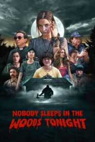 Nobody Sleeps in the Woods Tonight 2020 on netflix