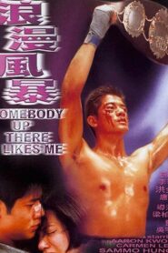 Somebody Up There Likes Me 1996 on netflix