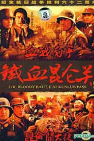 血战南宁 1994 on netflix