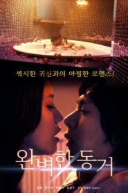 Perfect Cohabitation 2021 on netflix
