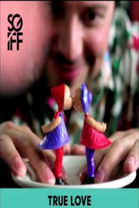True Love 2009 on netflix