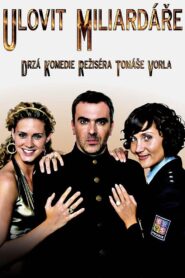 Ulovit miliardáře 2009 on netflix