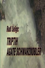 Triptych of Agata Schwarzkobler 1997 on netflix