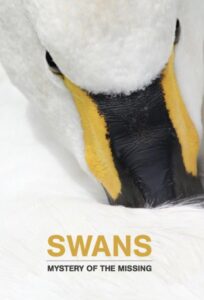Swans: Mystery of the Missing 2019 on netflix