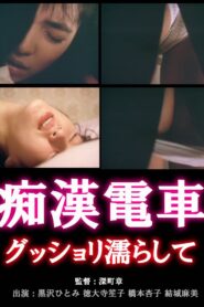 Chikan densha: Gusshori nurashite 1988 on netflix