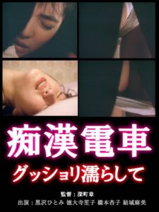Chikan densha: Gusshori nurashite 1988 on netflix