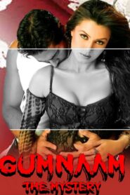 Gumnaam: The Mystery 2008 on netflix