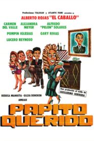 Papito querido 1991 on netflix