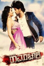 Mr & Mrs Ramachari 2014 on netflix