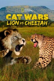 Cat Wars: Lion vs. Cheetah 2011 on netflix
