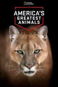 America’s Greatest Animals 2012 on netflix